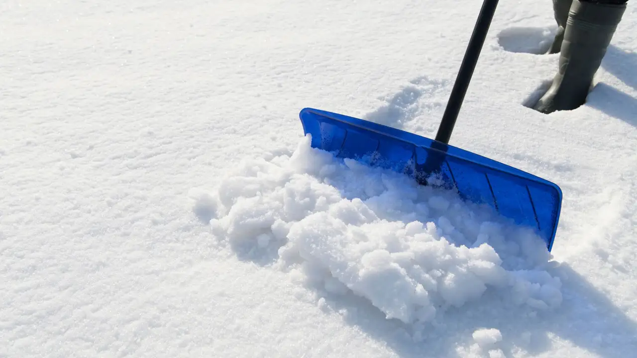 Clearing fresh snow from a driveway with a snow shovel