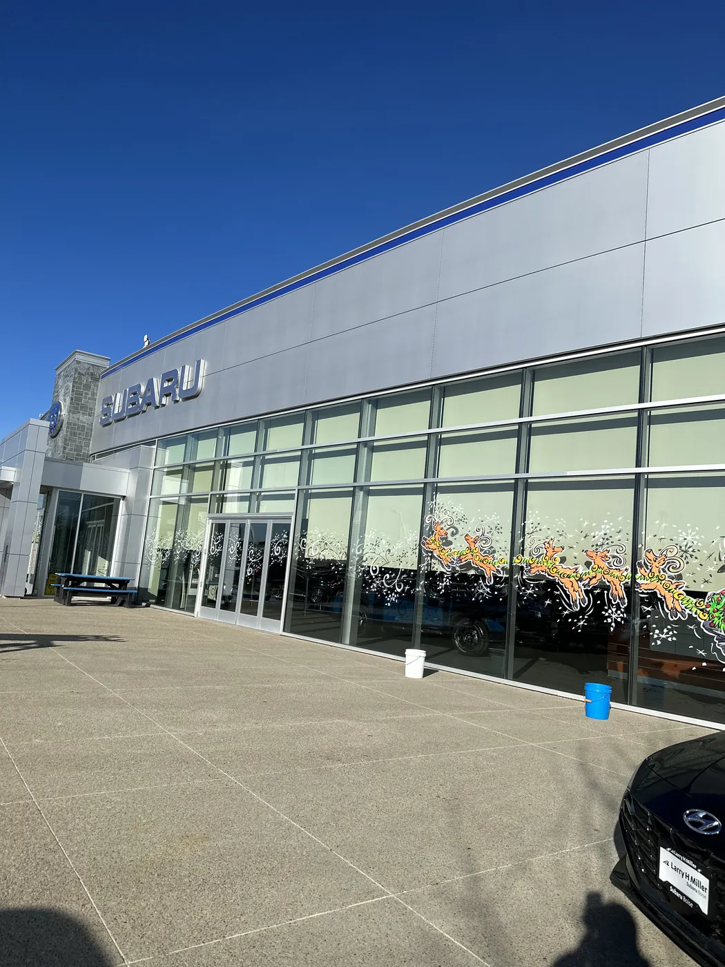 Boise commercial building with spotless glass after professional window cleaning